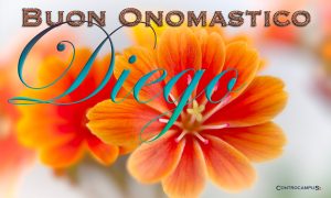 Immagini auguri buon onomastico per San Diego