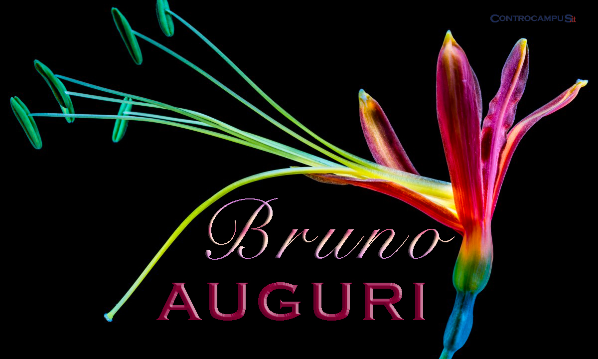 Immaigni auguri buon onomastico per San Bruno