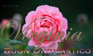 Immagini auguri buon onomastico per Santa Virginia