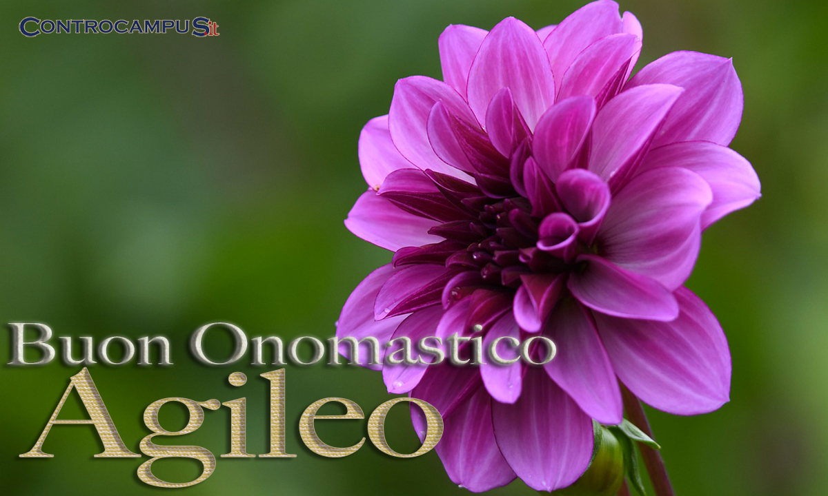 Immagini auguri onomastico per Sant Agileo