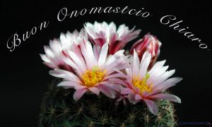 Immagini auguri buon onomastico San Chiaro