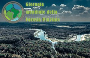 Giornata Mondiale Della Foresta Pluviale: Frasi E Citazioni