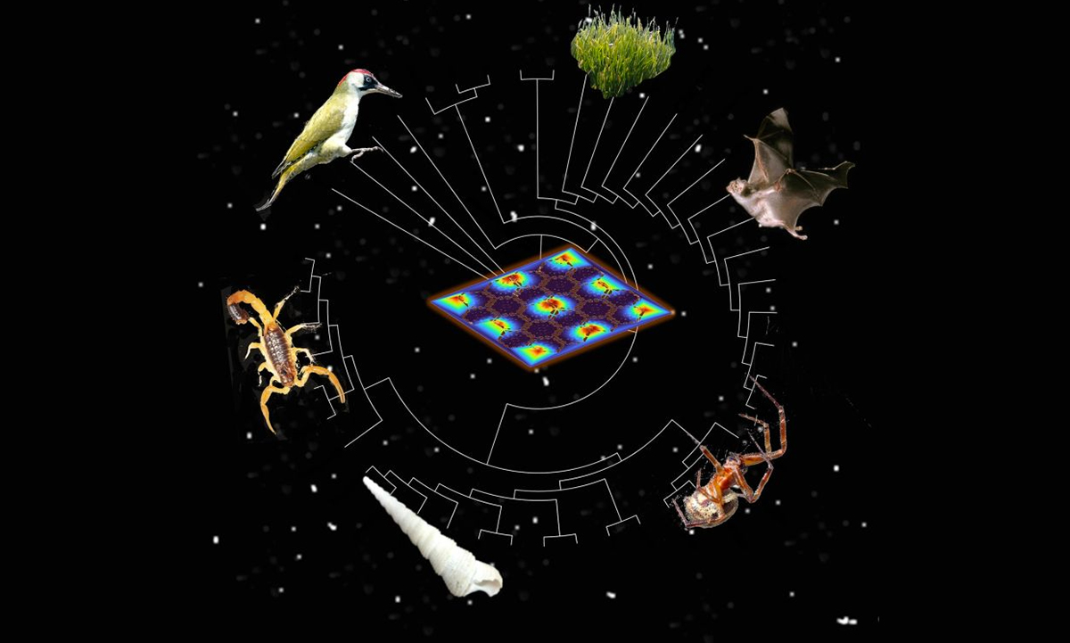 Controllo delle vibrazioni e onde acustiche grazie all'evoluzione