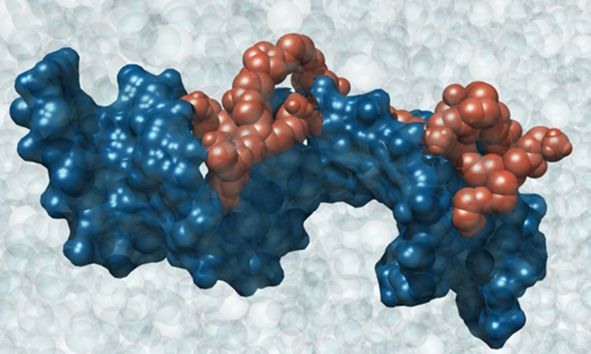 Nanotrasportatori selettivi per contrastare tumori metastatici